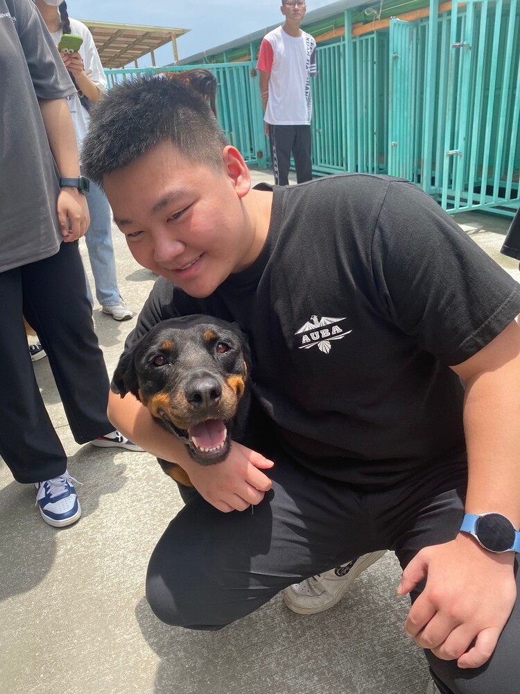 關懷動物4圖片