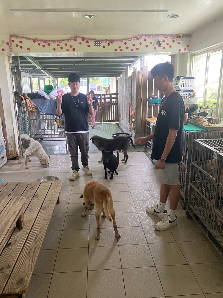 關懷動物6圖片