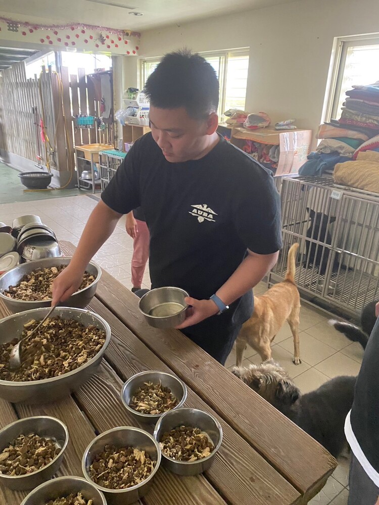 關懷動物7圖片
